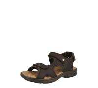 PANAMA JACK Sandalo da trekking 'Salton C35' marrone scuro Uomo PANAMA JACK 43