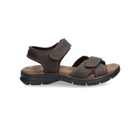 Panama Jack Sanders Basics Marrone Scuro