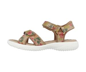 Panama Jack, ,Shoes ,Donna ,Marrone ,37 EU Sandali Piatte Tropicali