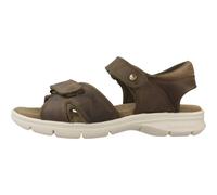 Panama Jack, ,Shoes ,Uomo ,Verde ,44 EU Sandali Piatti con Cinghie Adesive