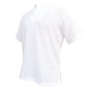 PANASIAM Shirt, RZI-02, No Button, White, L, shortsl.