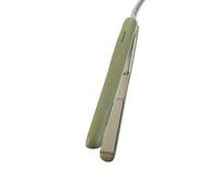 Panasonic - Piastra A Ioni 2 In 1 Eh-hv31-g503-matcha Panasonic