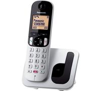 Panasonic Telefono Cordless con Base di Ricarica e Blocco chiamate Indesiderate colore Grigio - TGC250JTS