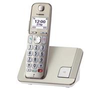 Panasonic Kx-tge250gn Wireless Landline Phone Argento One Size / EU Plug