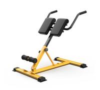 Panca for pesi regolabile con sedia romana, panca for estensione della schiena pieghevole, multifunzionale, for sit-up, for palestra, capacità di 330 libbre(Yellow)