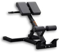 FFitness Panca Sedia Romana Multifunzione Iperestensioni Crunch Tricipiti Dips Inclinazione Altezza Regolabile Richiudibile