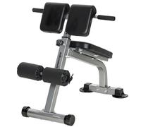 Panca Romana Regolabile e Pieghevole Multifunzione Capacità 150 kg Argento