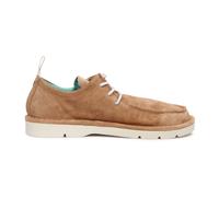 Panchic - Scarpe stringate Biscuit - - Shoes - Uomo - Marrone - 44 EU