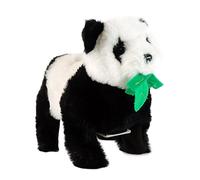 Panda acrobata Steppos