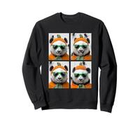 Panda Carino con Occhiali da Sole Zucca Costume Divertente Halloween Felpa