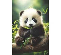 Panda Notebook: Blank Lined Notebook for All Ages, Panda, Cute, Animal, Black, White | 6x9 inches, 110 pages | Gifts for Birthdays, Christmas, Thanksgiving and more