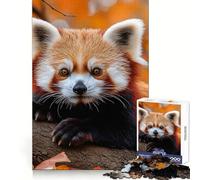 Panda rosso su un ramo in autunno, puzzle da 1000 pezzi per adulti, stimola la memoria, allevia l'ansia, bordi precisi, sorpresa natalizia (38x26cm)