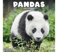 Pandas 2025 Square Wall Calendar | Animal, Wildlife Calendar