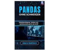 Pandas ohne Schmerzen: Datenbereinigung, -analyse und -berichterstattung für das Schiff