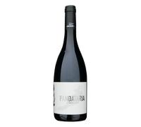 PANDATARIA Il Vino del Confino 2023 - Candidaterra