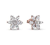 Orecchini Pandora Timeless 282407C01