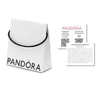 Pandora Borsa Eco-Regalo (14x14x6 cm)