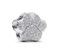 PANDORA Charm In Argento Mini Con Zampa 794043C00