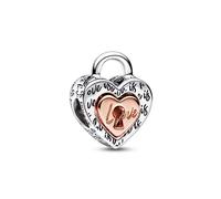 PANDORA Charm Momenti 782505C00 Cuore diviso