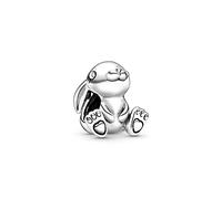 PANDORA Collezione di charm a tema amici