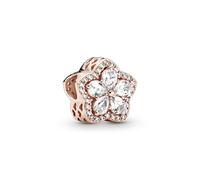 Pandora Charm doppio in argento Night Sky Crescent Moon 799216C01