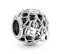 PANDORA Gioielli Argento Charm Maglie Chiusura 790071C00