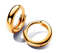 Pandora Orecchini a cerchio rotondi Hug 1 UD.