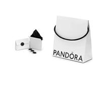 PANDORA Set di imballaggi ecologici (sacchetto e scatola pieghevole)