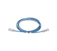 Panduit Cat6, UTP, 7ft 2.1m Cat6 U/UTP (UTP) Blue networking cable - networking cables (UTP, 7ft, 2.1 m, Cat6, RJ-45, RJ-45, U/UTP (UTP), Male/Male)