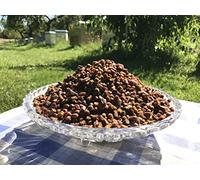 Pane d'api, Perga, Polline d'api fermentati, crudo e naturale, senza conservanti, senza ingegneria genetica, adatto per vegetariani, 500g., Vendemmia 2021