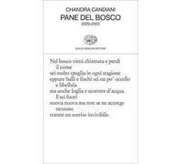 Pane del bosco. 2020-2023