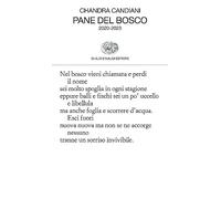 Pane del bosco. 2020-2023