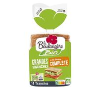 pane di mais biologico fette grandi con farina integrale