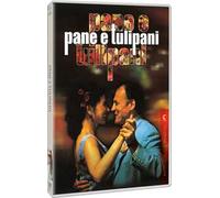Pane E Tulipani (DVD)