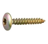 Panel-Vit Fc Chromiting Tx Viti Fungo con Collare, 6x80 mm