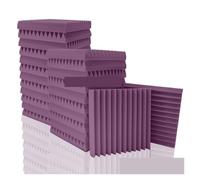 Paneles acústicos 6-24 Pack Studio Acoustic Foam Music Soundproof Sheet Noise Sound-Absorbing Room Isolation Door Wall Panel(Purple,5cm Thick,12 Pcs)