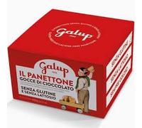 Panettone Senza Glutine 400g - Con Gocce di Cioccolato - Dolce Artigianale Gluten Free - Ricetta Tradizionale Piemontese - Soffice, Profumato e Sicuro per Celiaci