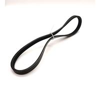 Pangocho-Cinghia di Trasmissione 8pj556 9pj556 10pj556 11pj556 219j Lunghezza 556 mm Cinghia di Cinghia del Tosaerba in Gomma (Size : 8ribs)