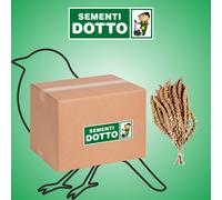 Panico in Spighe 12,5kg Mangime complementare per uccelli di tutte le specie