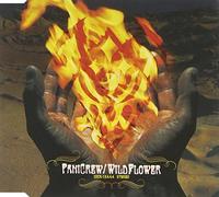 Panicrew - Wild Flower