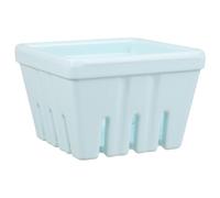 Paniere Del Mercato Degli Agricoltori Cesto Di Frutta in Ceramica