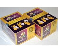 Panini EM - 2 X Scatola Schermo Sigillato/Originale 200 Pacchetti Gdl South B