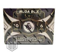 Panini Select EPL Premier League Mega Hobby Box 2024/25