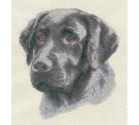 PANNA - Kit per Punto Croce, Motivo: Labrador Nero, 17,5 x 23,5 cm