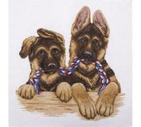 PANNA - Kit Punto Croce, Motivo: Cuccioli di alsazione, Multicolore, 28 x 29 cm