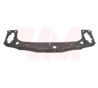 Pannellatura anteriore 0670663 VAN WEZEL per BMW