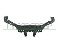 Pannellatura Anteriore Prasco FT3403201 per Fiat
