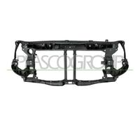 Pannellatura Anteriore Prasco RN9543210 per Renault