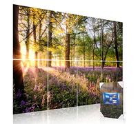 Pannelli acustici artistici, 121 x 81 x 1 cm, insonorizzanti, decorazione da parete, adatti per insonorizzazione di ambienti ispirati alla natura ed estetica vibrante (primavera forestale), Mollywell