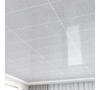 Pannelli autoadesivi for controsoffitti in PVC, for in plastica, decorativi for,Colla senza piastrelle for soffitti,Isolante,Per,Camera da letto,Soggiorno e sala giochi(Style G,5-pcs 30 * 60cm)